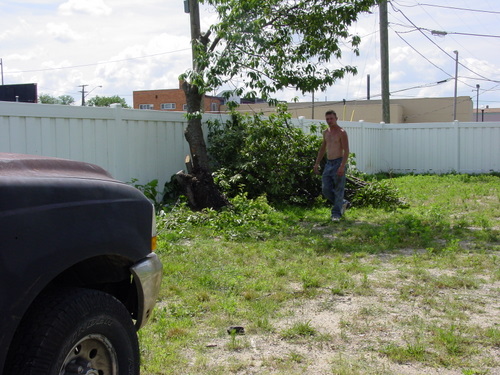./Gallery/2011 Bennet Lot Tree Removal/DSC06456.JPG